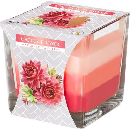Vonná svíčka ve skle Tricolora 170g - Cactus Flower