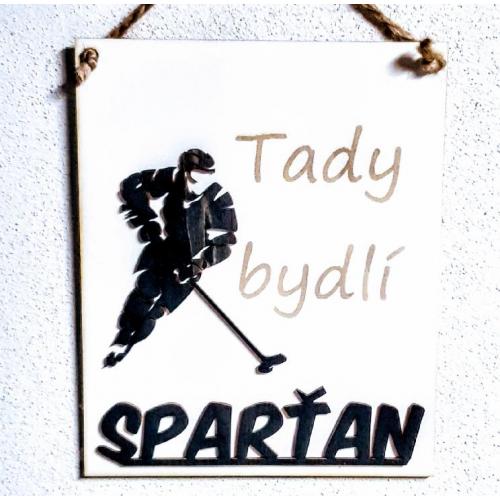 Dřevěná cedule Hokejista - Spartan