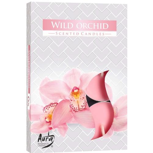 Čajová svíčka S/6ks Hoření 4H s vůní - Wild Orchid