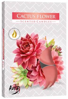 Čajová svíčka S/6ks Hoření 4H s vůní - Cactus Flower