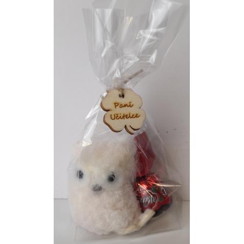 Sova bílá + bonbon - učitelka