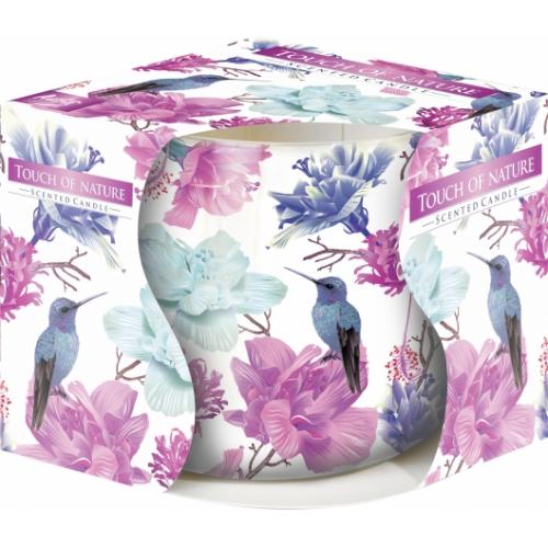 Svíčka ve skle 100g - Touch of Nature